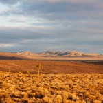 IMG_3756